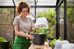 green basics kweekpot vierk. allin1 15cm living black